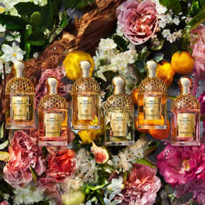 Aqua Allegoria Forte - Rosa Rossa - Eau de Parfum Aqua Allegoria Forte - Rosa Rossa - Eau de Parfum